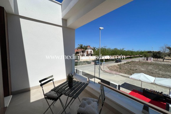 Nowo zbudowane - Kamienica - Dolores