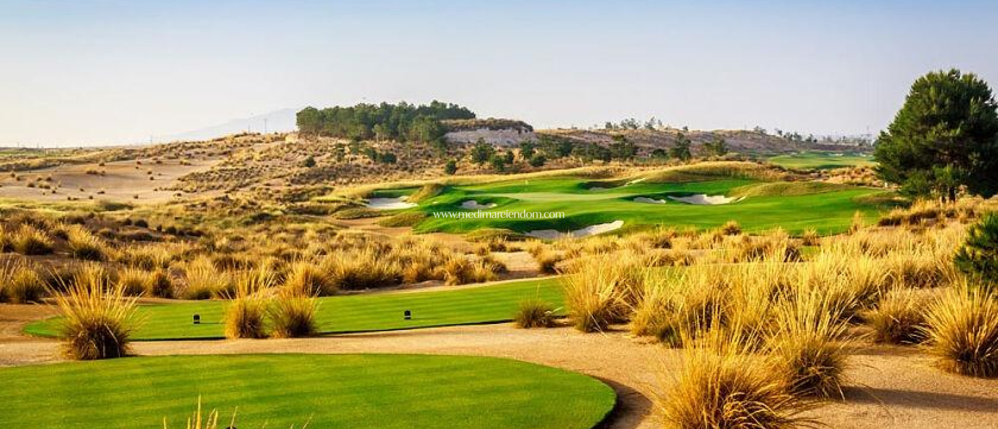 Nowo zbudowane - Willa - Alhama De Murcia - Condado de Alhama