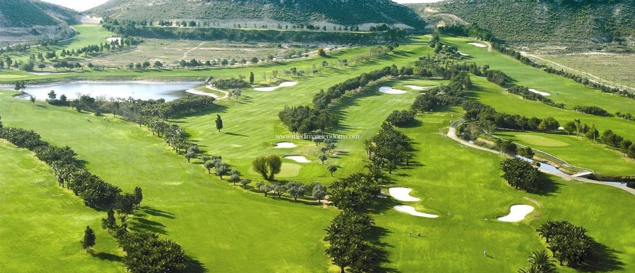 Nowo zbudowane - Willa - BAOS Y MENDIGO - Altaona Golf And Country Village