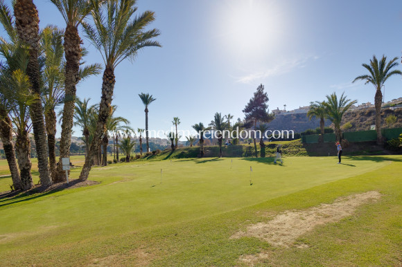 Nowo zbudowane - Willa - Ciudad Quesada - Golf La Marquesa (Ciudad Quesada)