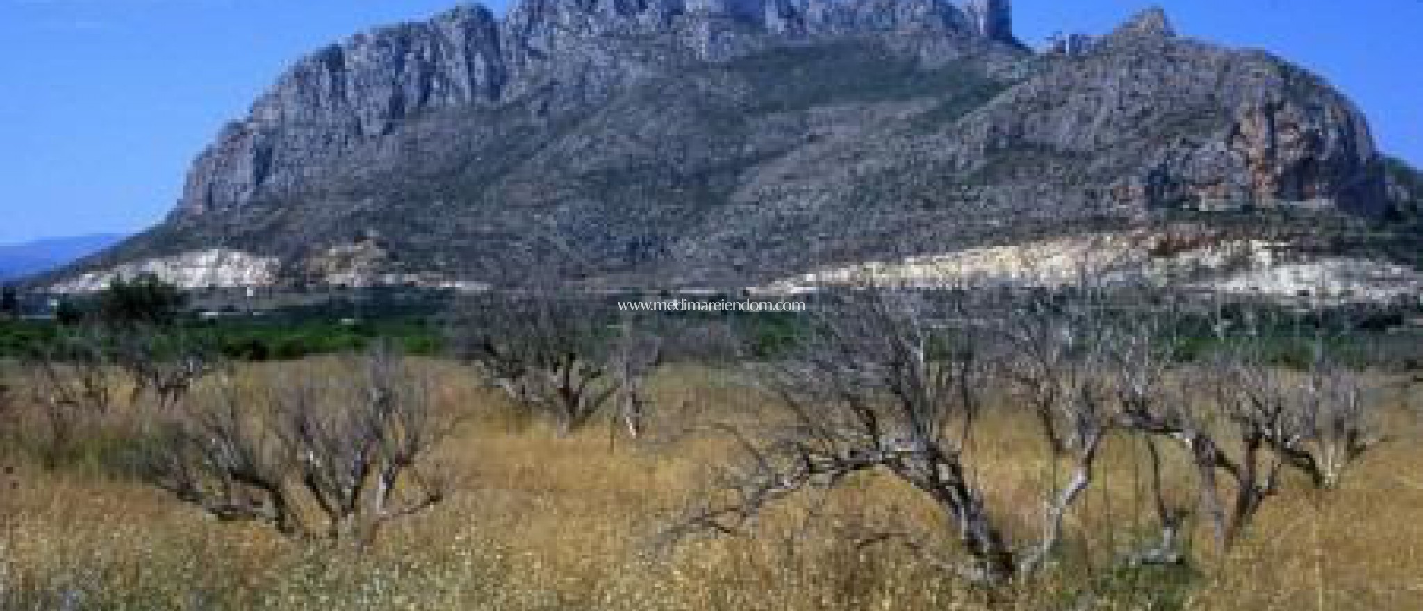 Nowo zbudowane - Willa - Els Poblets - Barranquet