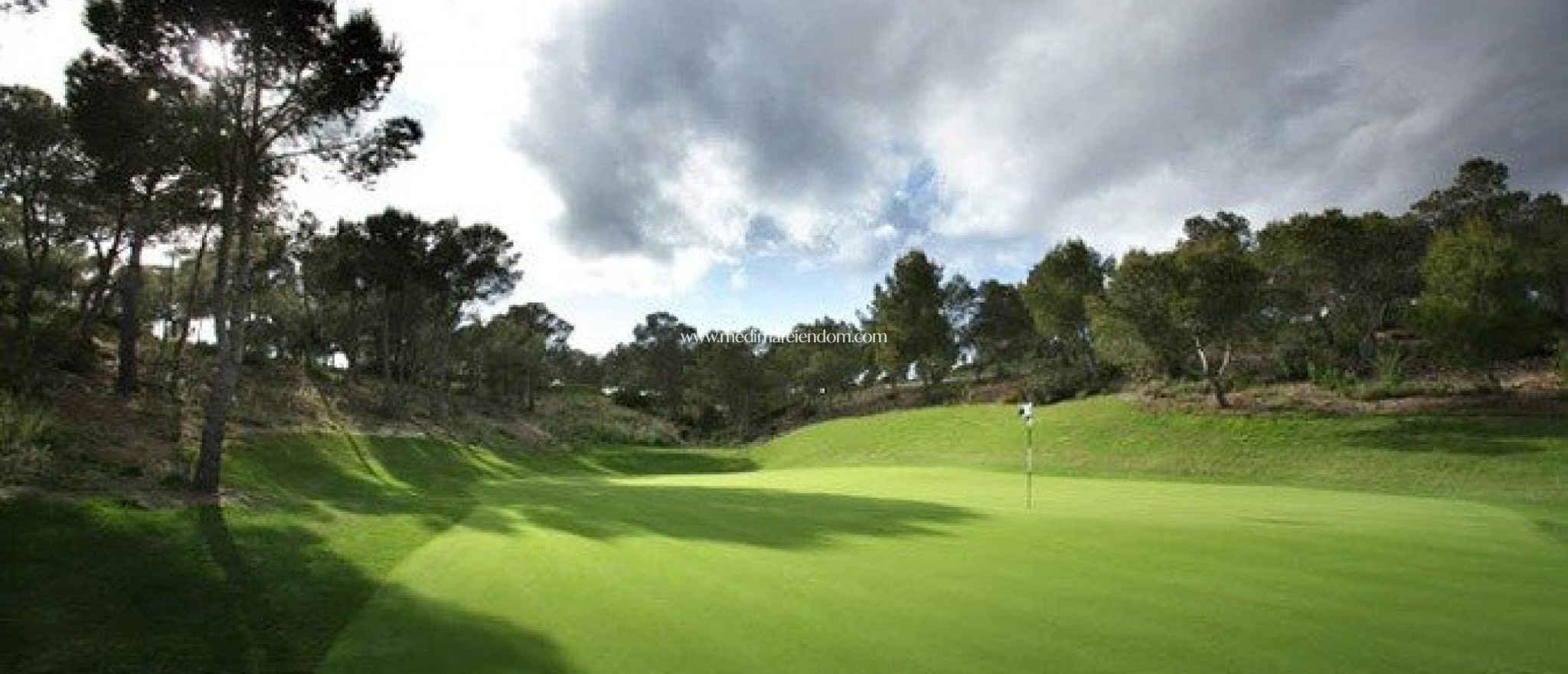 Nowo zbudowane - Willa - Orihuela - Las Colinas Golf
