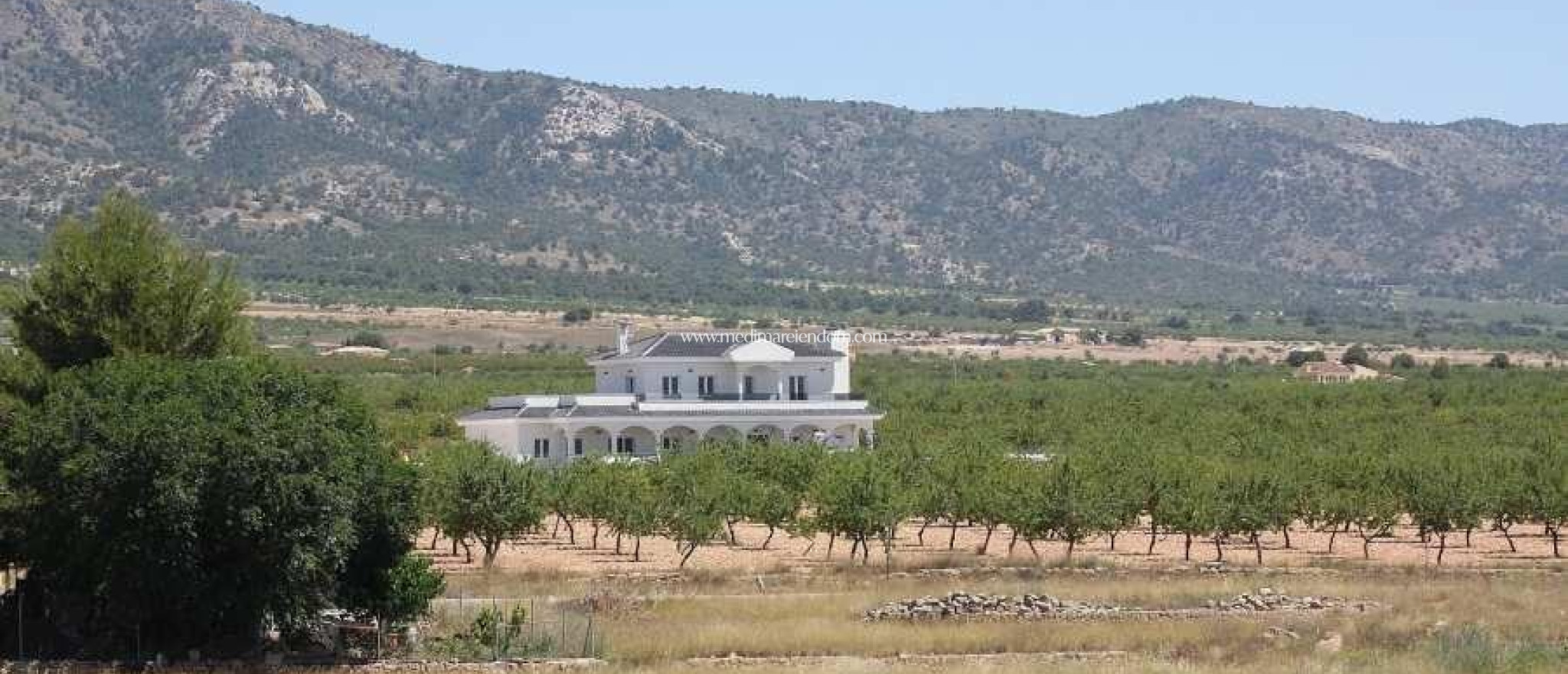 Nowo zbudowane - Willa - Pinoso - Camino Del Prado