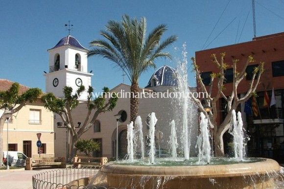 Nowo zbudowane - Willa - San Fulgencio - El Oasis