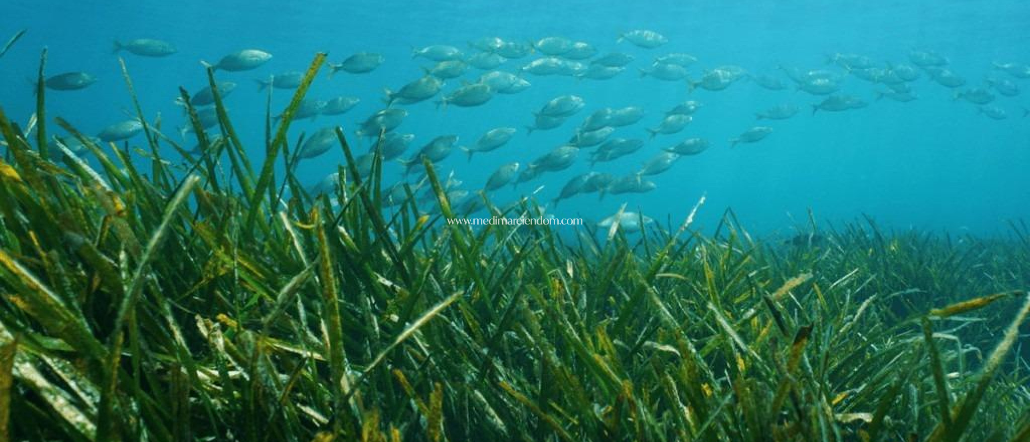 Nybygg - Enebolig - Benissa - Racó De Galena