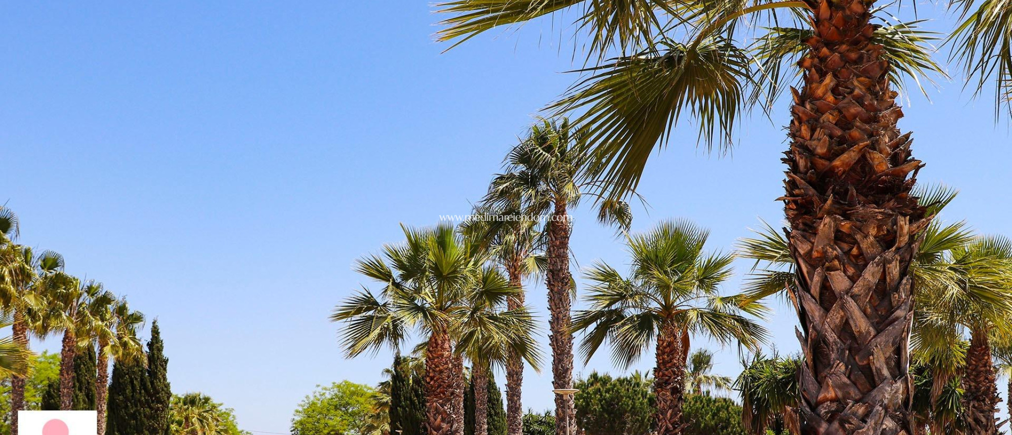 Nybygg - Enebolig - San Fulgencio - La Escuera