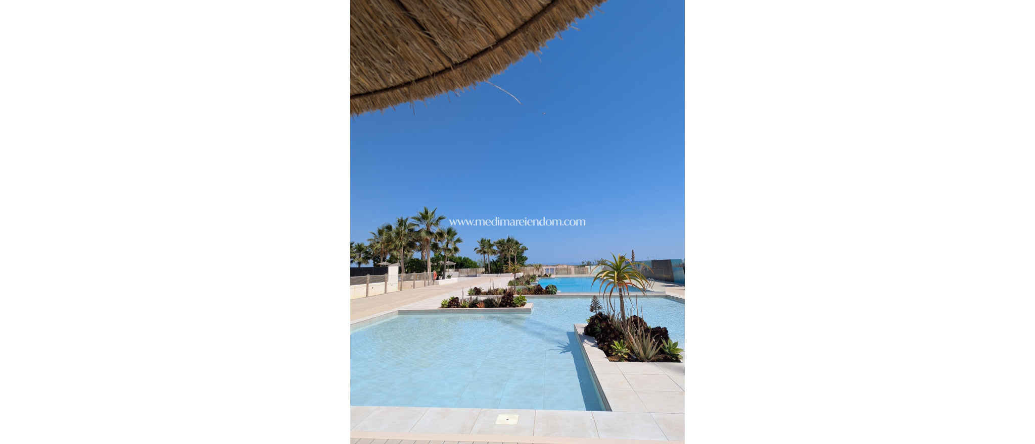 Nybygg - Leilighet - Denia