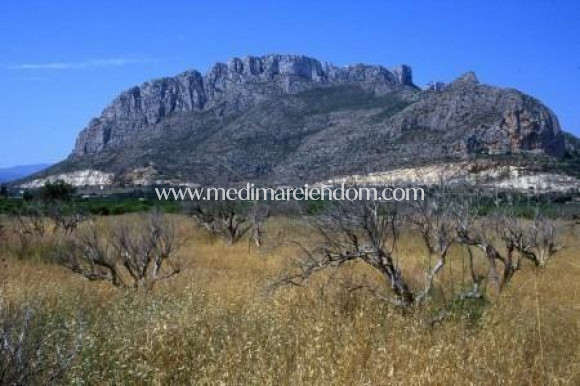 Nybygg - Leilighet - El Verger - Zona De La Playa