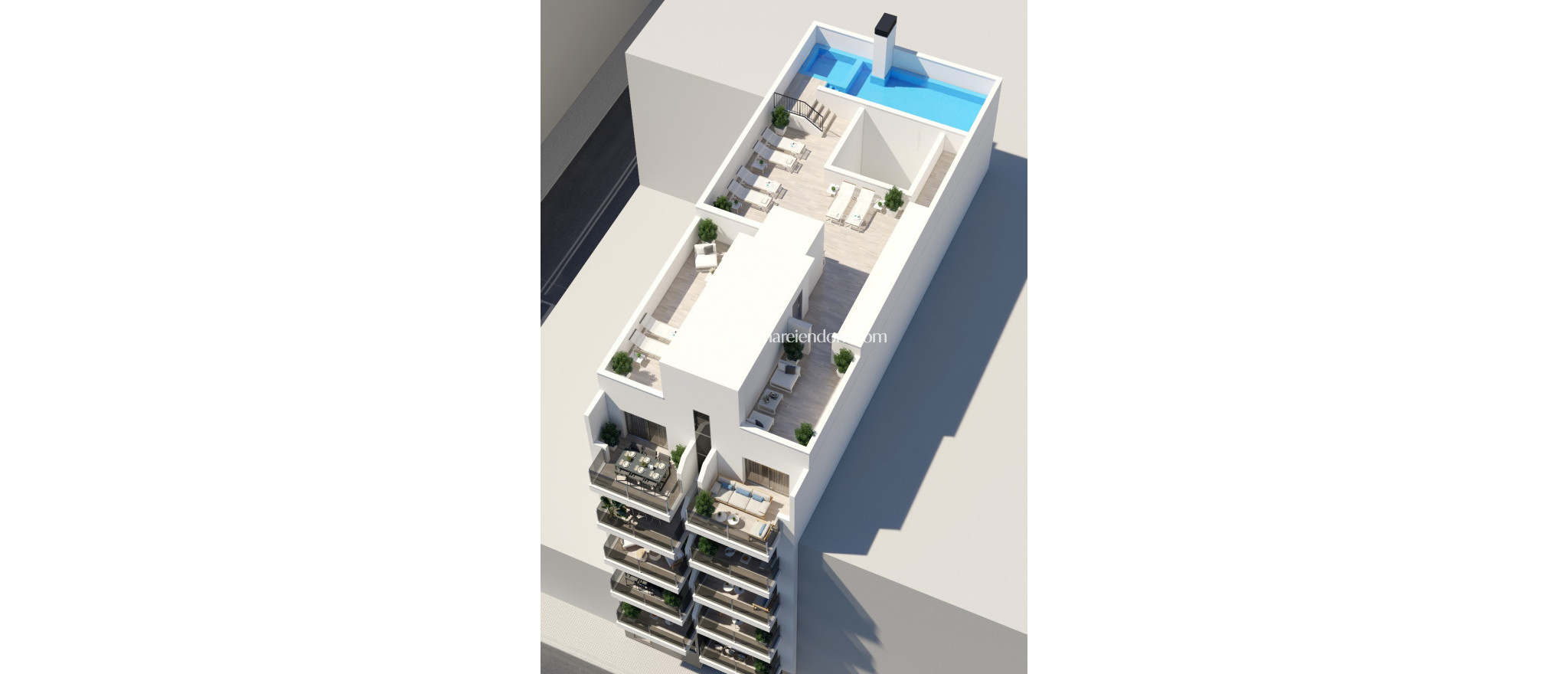 Nybygg - Leilighet - Torrevieja