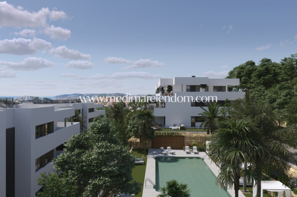 Nybygg - Penthouse - Casares