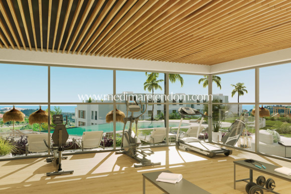Nybygg - Penthouse - Casares