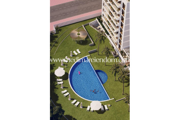 Nybygg - Penthouse - Guardamar del Segura - Avda del Puerto