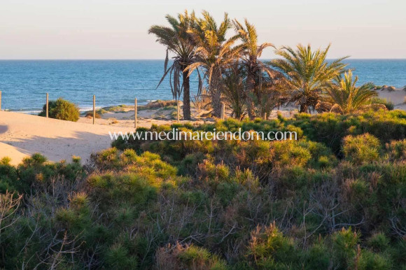 Nybygg - Penthouse - Guardamar del Segura - Avda del Puerto