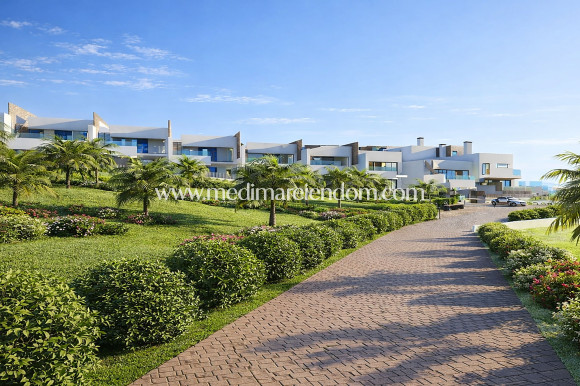 Nybygg - Penthouse - La Línea de la Concepción