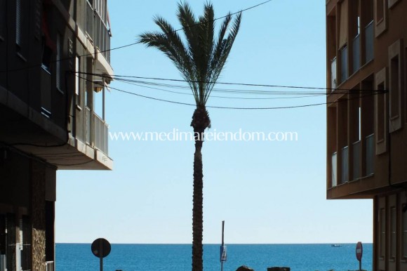 Nybygg - Penthouse - Torrevieja - Centro