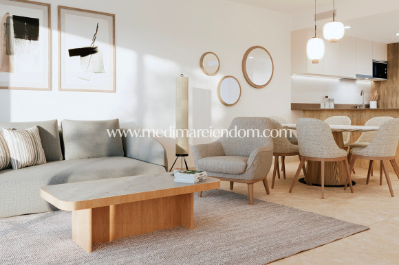 Nybygg - Penthouse - Torrevieja