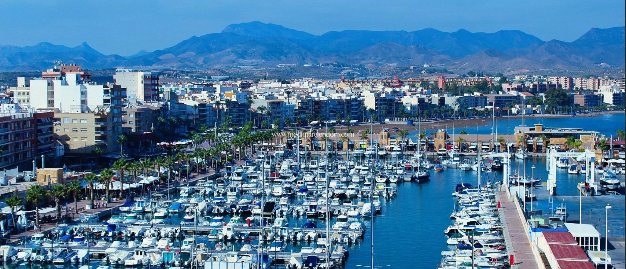 Nýbygging - Bungalow - Fuente Álamo - La Pinilla