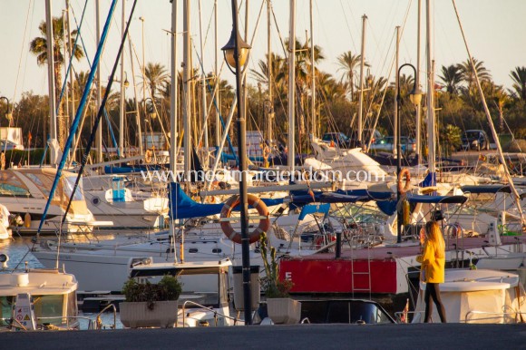 Nýbygging - Bungalow - Guardamar del Segura - Guardamar Del Segura