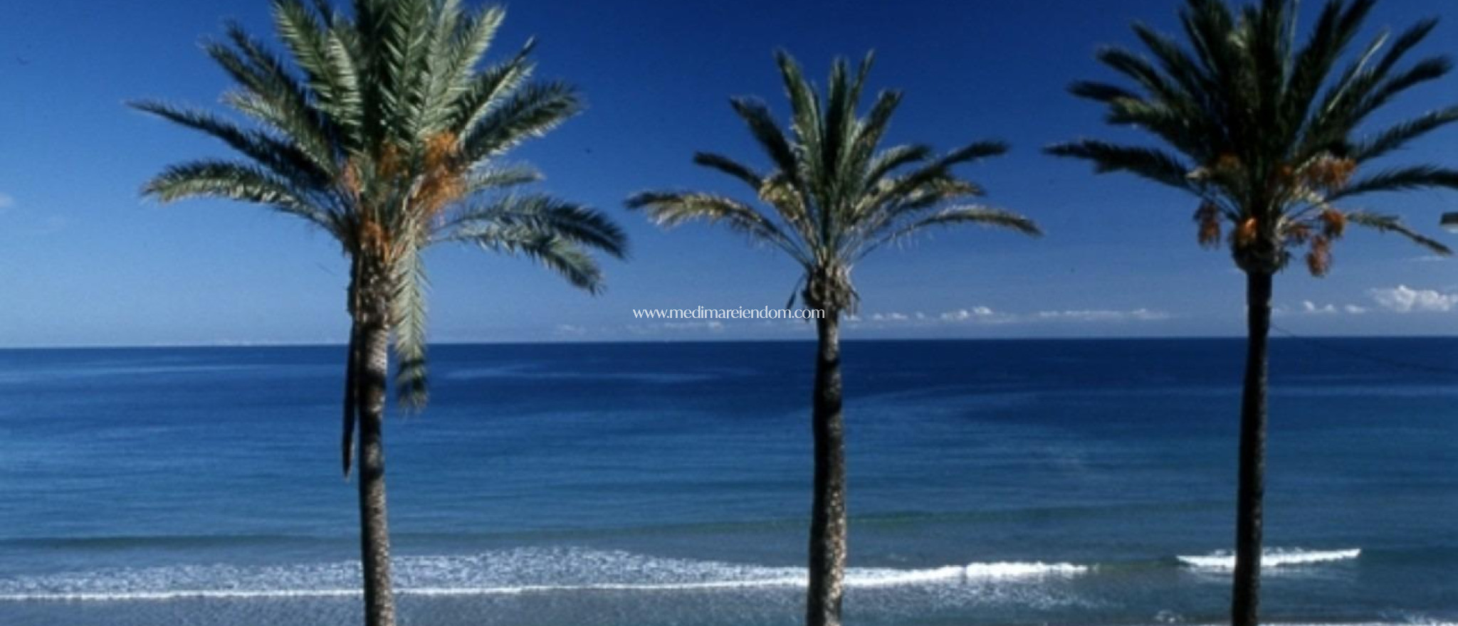 Nýbygging - Bungalow - Pilar de la Horadada - Parque Ramon eugenio Escudero