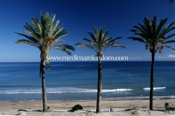 Nýbygging - Bungalow - Pilar de la Horadada - Parque Ramon eugenio Escudero