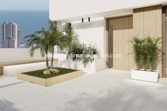 Nýbygging - EINBÝLISHÚS - Benidorm - Finestrat