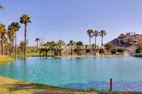 Nýbygging - EINBÝLISHÚS - Ciudad Quesada - Golf La Marquesa (Ciudad Quesada)