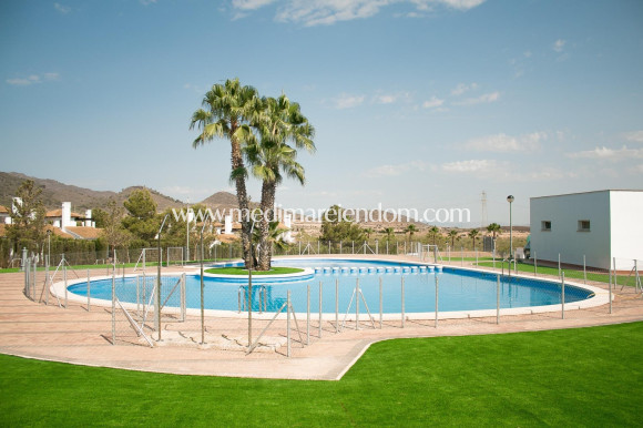 Nýbygging - EINBÝLISHÚS - Fuente Alamo de Murcia - Las Palas