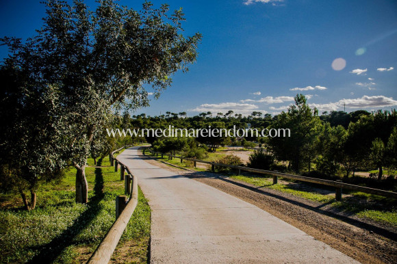 Nýbygging - EINBÝLISHÚS - Rojales - Ciudad Quesada