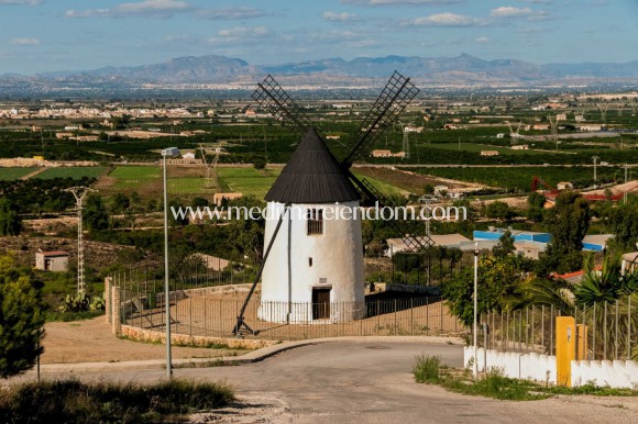 Nýbygging - EINBÝLISHÚS - Rojales - Doña Pena