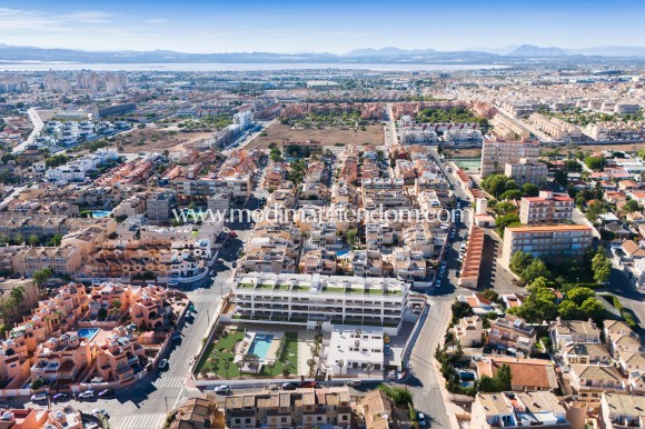 Nýbygging - Íbúð - Torrevieja