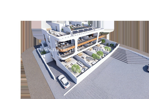 Nýbygging - Penthouse - Benijofar - Benijófar