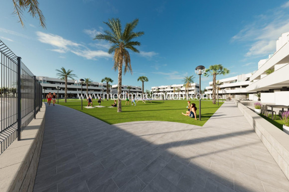 Nýbygging - Penthouse - Guardamar del Segura - El Raso