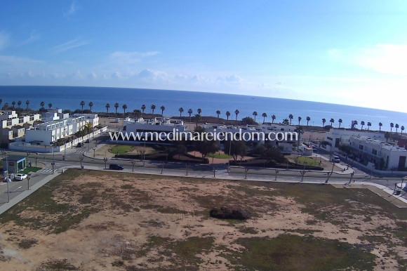 Nýbygging - Penthouse - Pilar de la Horadada - Playa de las Higuericas