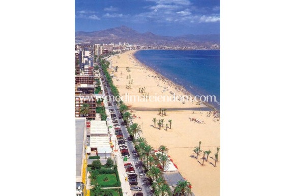 Nýbygging - Penthouse - San Juan Alicante - Fran Espinos