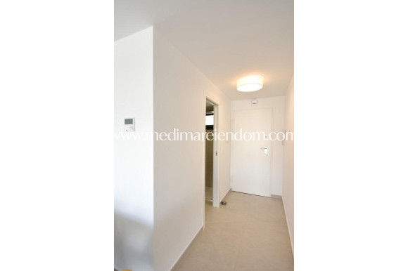 Nýbygging - Penthouse - San Miguel de Salinas - Pueblo