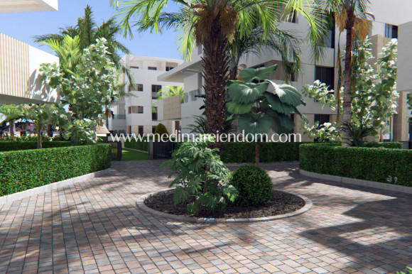 Nýbygging - Penthouse - Santa Rosalía