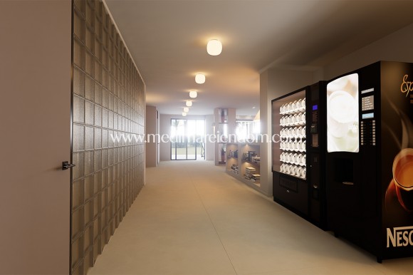 Nýbygging - Penthouse - Torrevieja