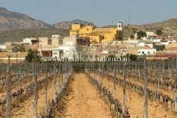 Nybyggnad - Bungalow - Hondón de las Nieves - El Salero