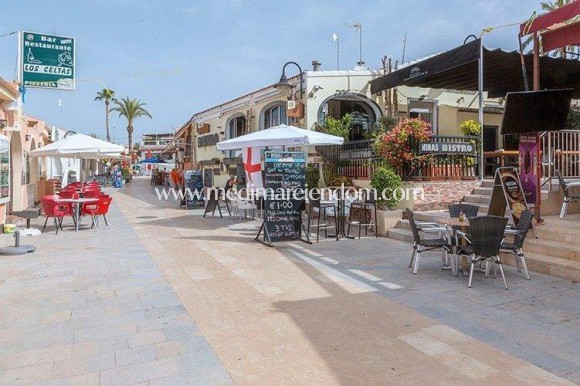 Nybyggnad - Bungalow - Pilar de la Horadada - Mil Palmeras