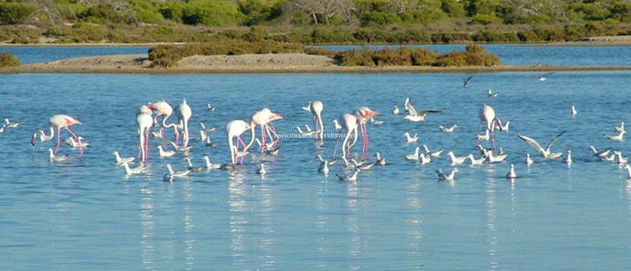 Nybyggnad - Bungalow - San Pedro del Pinatar - Las Esperanzas