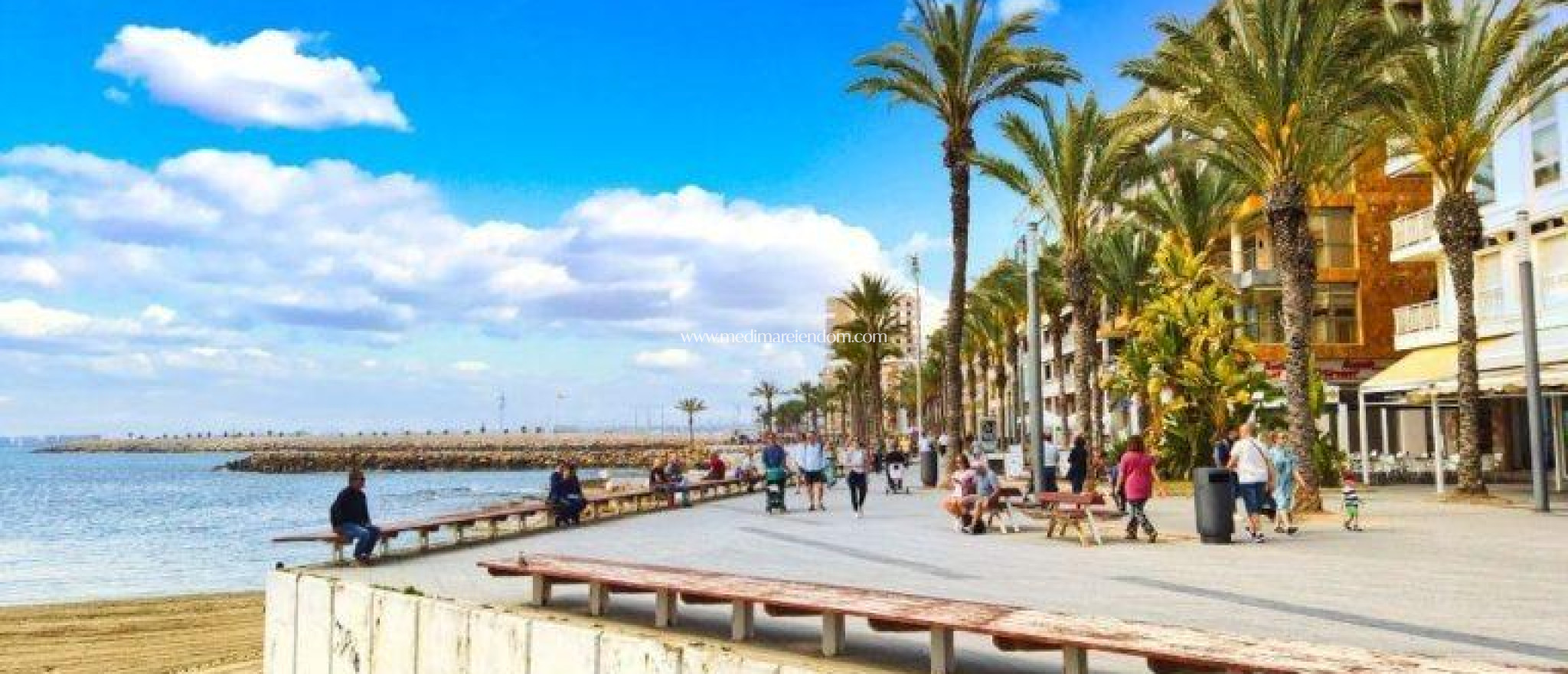 Nybyggnad - Lägenhet - Torrevieja - Centro