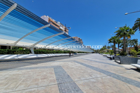 Nybyggnad - Lägenhet - Torrevieja - Playa De Los Locos