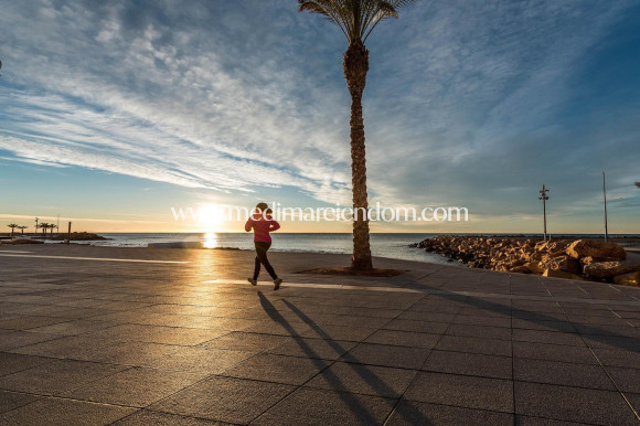 Nybyggnad - Lägenhet - Torrevieja - Torreblanca