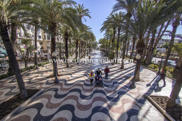 Nybyggnad - Lägenhet - Torrevieja - Torreblanca