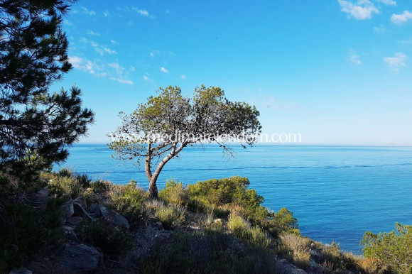 Nybyggnad - Lägenhet - Villajoyosa - Playas Del Torres