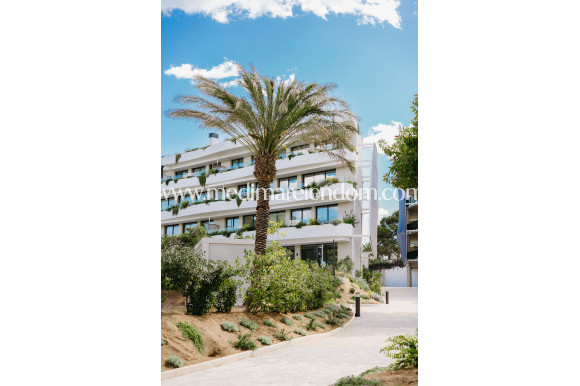 Nybyggnad - Penthouse - Alfaz del Pi