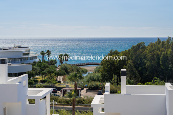 Nybyggnad - Penthouse - Estepona