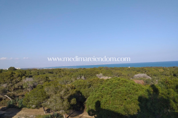 Nybyggnad - Penthouse - Guardamar del Segura - Pueblo