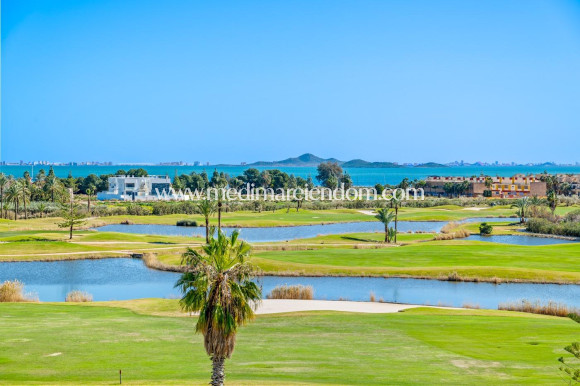 Nybyggnad - Penthouse - Los Alcazares - Serena Golf