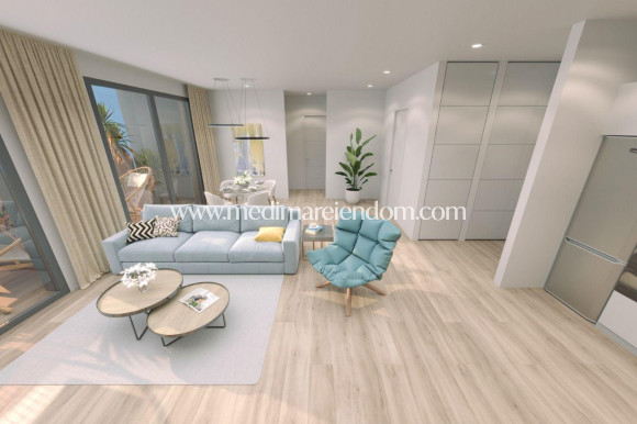 Nybyggnad - Penthouse - Torrevieja